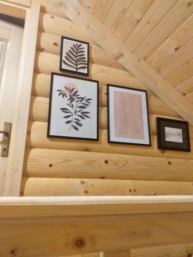 فيلا Rustic House Kolašin المظهر الخارجي الصورة